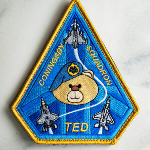 "BLUE SKIES" TCS SQUADRON PATCH